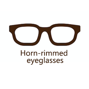 Horn rimmed eye glasses/Acetate Glasses Frames/TR90 Glasses Frames/PC Glasses Frames/Plastic Glasses Frames